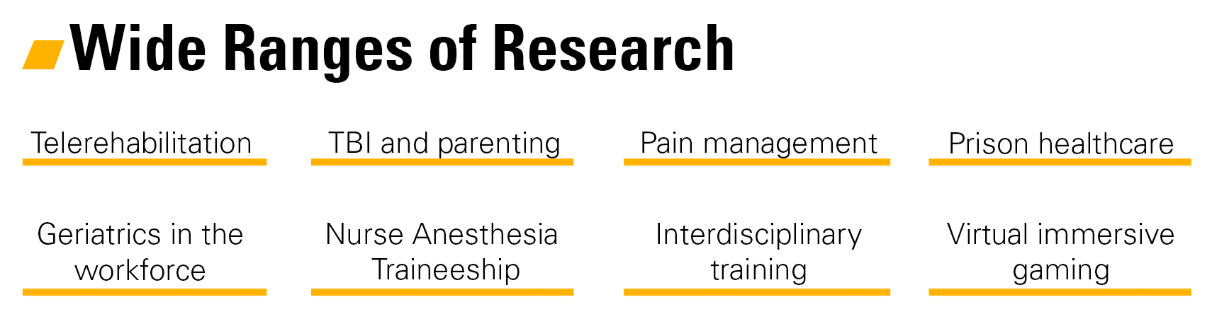 Wide Ranges of Research - Telerehabilitation, TBI and parenting, pain management, prison healthcare, geriatrics in the workforce, nurse anesthesia traineeship, interdisciplinary training, virtual immersive gaming