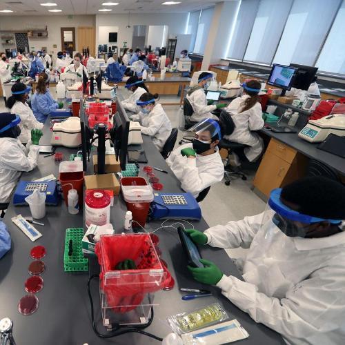 MLS students working in laboratory