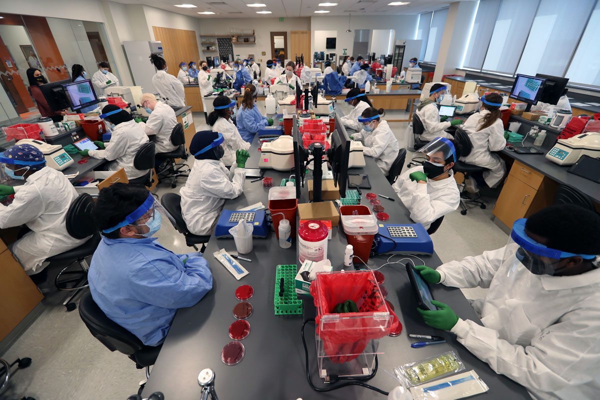 Medical Laboratory with students practicing laboratory techniques