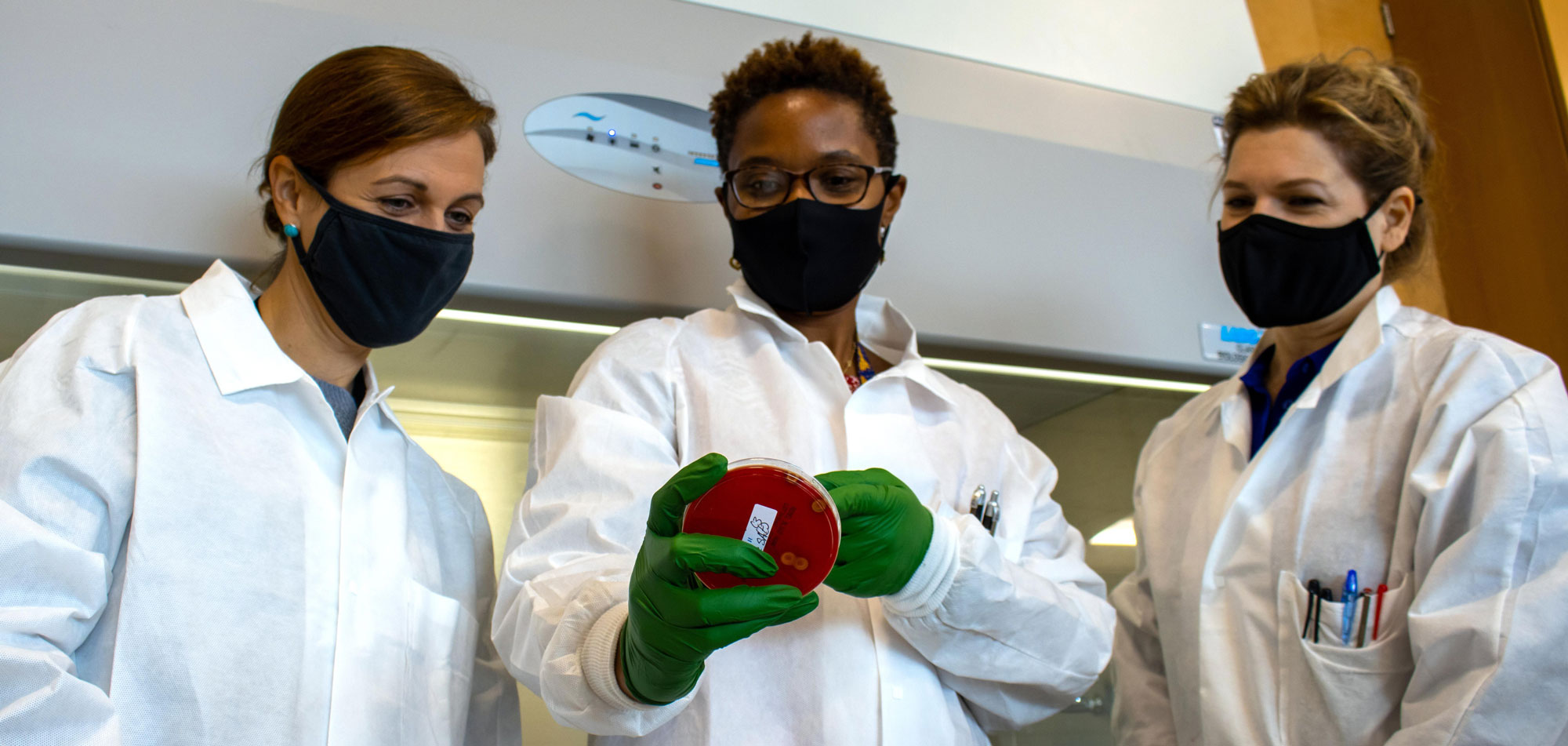 Melissa Jamerson, PhD, Jenica L. Harrison, PhD and Lisa Perkins looking at a petri dish