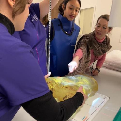 Radiography students demonstrating x ray techniques on a mannequin