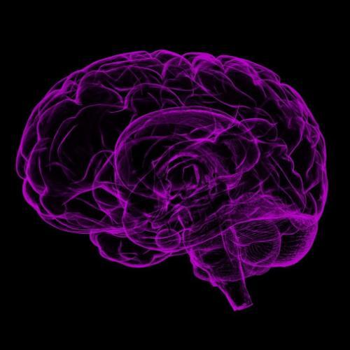 purple brain scan on black background