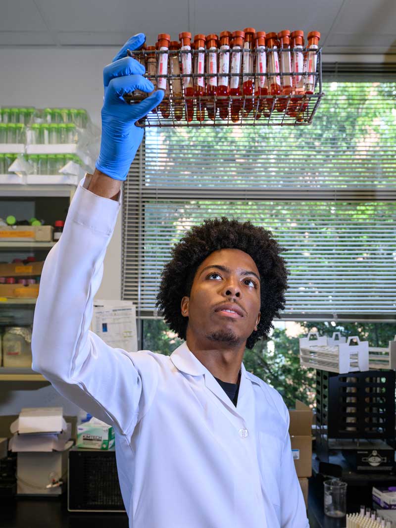 Person in a laboratory wearing a lab coat and gloves holds up a rack of test tubes filled with liquid while examining them; lab equipment and shelves visible in the background